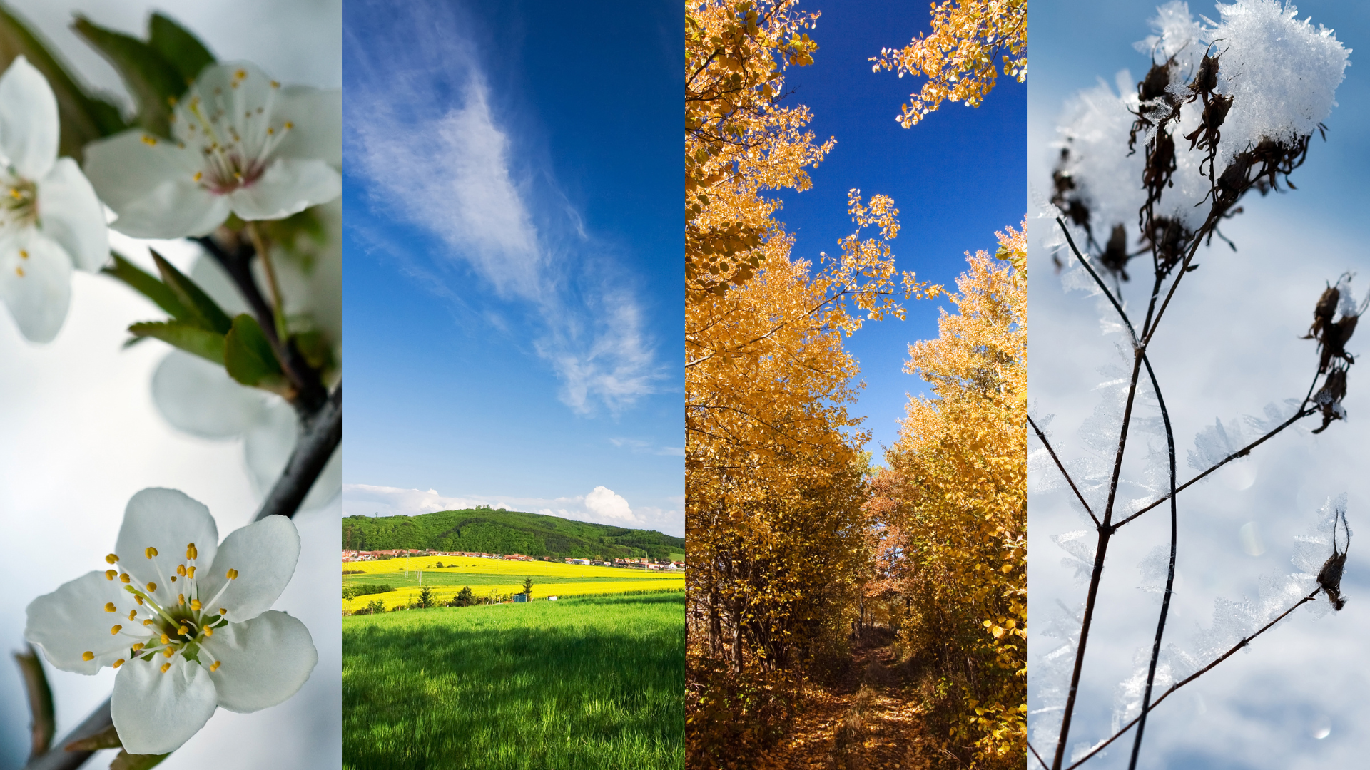 Calgary Home Seasonality: Timing Your Entry to Capitalize on Market Rhythms